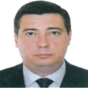 Vladimir DRUZHINA